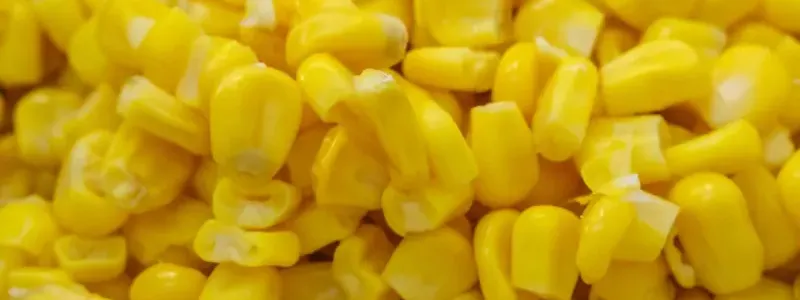 Seed