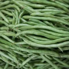 French bean seed