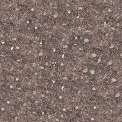 Organic compost