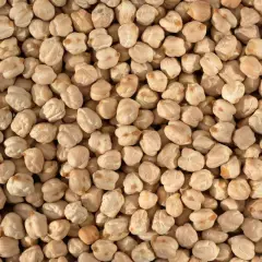 Bush bean seed