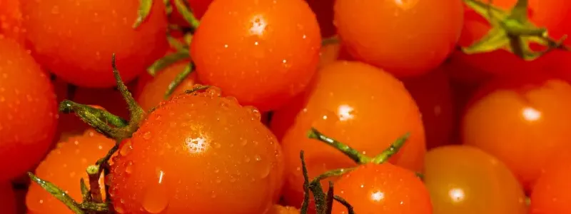 Fruit & vegetables
