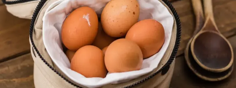 Dairy & eggs