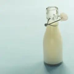 Fresh milk 500 ml