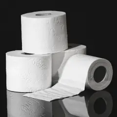 Toilet paper, 10 rolls