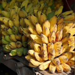 Sweet bananas (6)