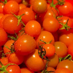 Tomatoes 1 kg